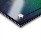 JBS 2511 Acrylic print