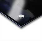 JBS 2877  Acrylic print