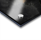 JBS 3041  Acrylic print