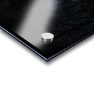 JBS 4841  Acrylic print