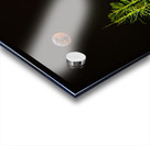 JBS 8023  Acrylic print