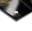 JBS 5564 Acrylic print