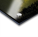 JBS 4430 Acrylic print