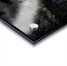 JBS 4554  Acrylic print