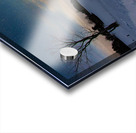 JBS 3992 2 Acrylic print