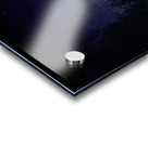 JBS 4835  Acrylic print