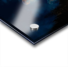 JBS 9706 4 Acrylic print