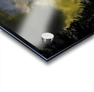 JBS 2966 Acrylic print