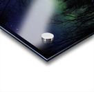 JBS 9808 1 Acrylic print