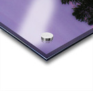 JBS 5142 Acrylic print