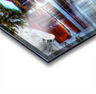 JBS 8335 Acrylic print