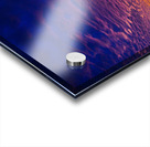 JBS 3785 Acrylic print