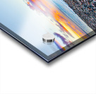 JBS 3100 Acrylic print