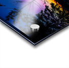 JBS 7929 Acrylic print