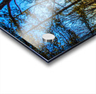 JBS 7909 Acrylic print