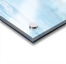 AEC1A867 Acrylic print