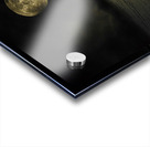 JBS 4030 Acrylic print