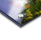 ZJS 5785 Acrylic print