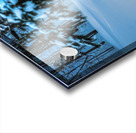 DSC 5646 Acrylic print