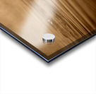 DSC 1719 Acrylic print