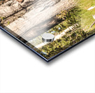 JBS 2614  Acrylic print