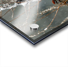  JBS9523 Acrylic print