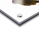 JBS 3472 Acrylic print