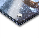 JBS 3204 2  Acrylic print