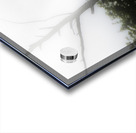 JBS 1831 Acrylic print