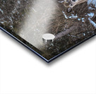 JBS 3117 2  Acrylic print