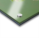 JBS 4152 Acrylic print