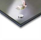 JBS 3953 Acrylic print