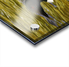 JBS 2224 Acrylic print