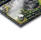 JBS 2617-1 Acrylic print