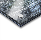 DSC 5638 Acrylic print