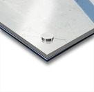 JBS 8771 Acrylic print