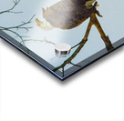 JBS 9645 Acrylic print