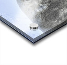 JBS 9247 Acrylic print