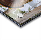 JBS 5958 Acrylic print