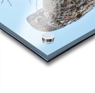 JBS 5394 Acrylic print