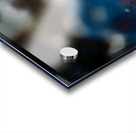 JBS 8295 Acrylic print