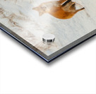 JBS 6354 Acrylic print