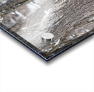 JBS 8855 Acrylic print