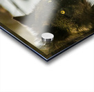 JBS 9070 Acrylic print