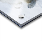 JBS 8390 Acrylic print