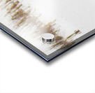 JBS 8846 Acrylic print