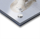 JBS 8219 Acrylic print