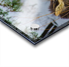 JBS 4767 Acrylic print