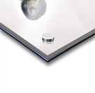 JBS 5691  Acrylic print