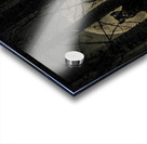 PINE MARTEN2 Acrylic print